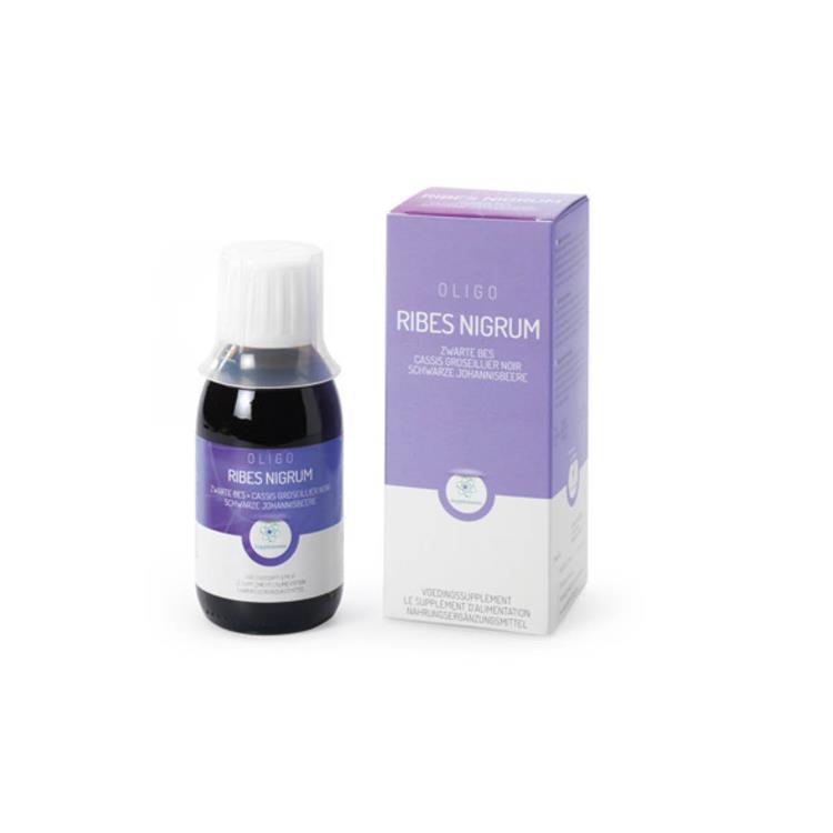 Ribes nigrum - Zwarte bes